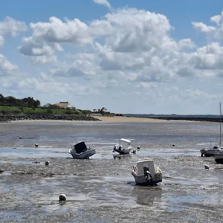 Proche A Avec Terrasse Et Parking - Animaux Admis - Fr-1-706-9 Chatelaillon-Plage