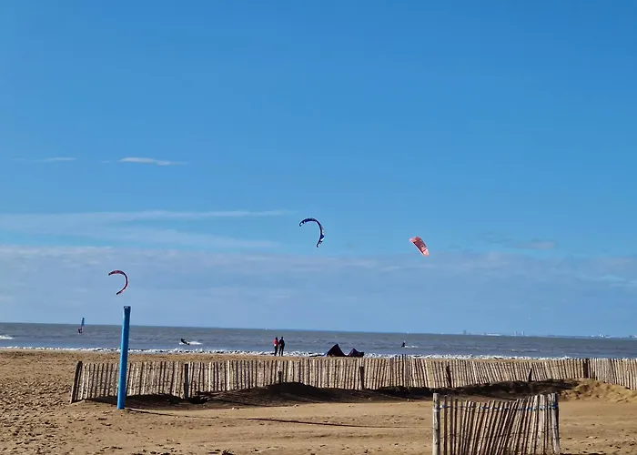 Appartement Proche à Avec Terrasse Et Parking - Animaux Admis - Fr-1-706-9