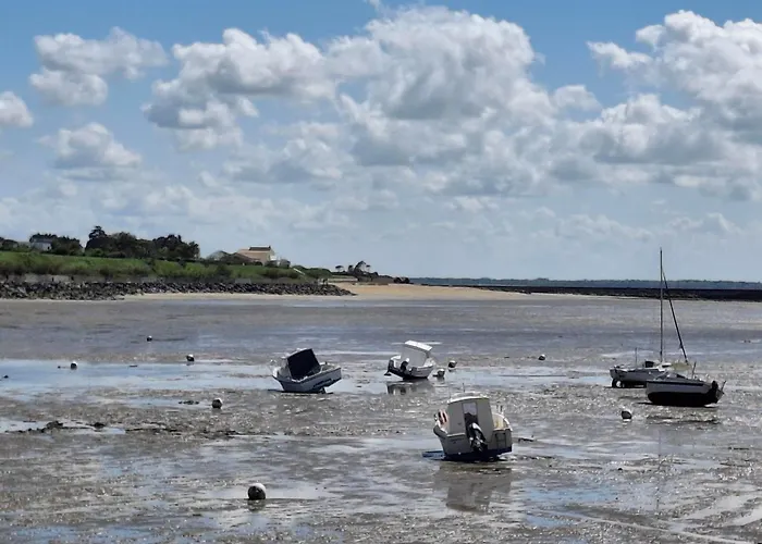 Proche à Avec Terrasse Et Parking - Animaux Admis - Fr-1-706-9 Châtelaillon-Plage